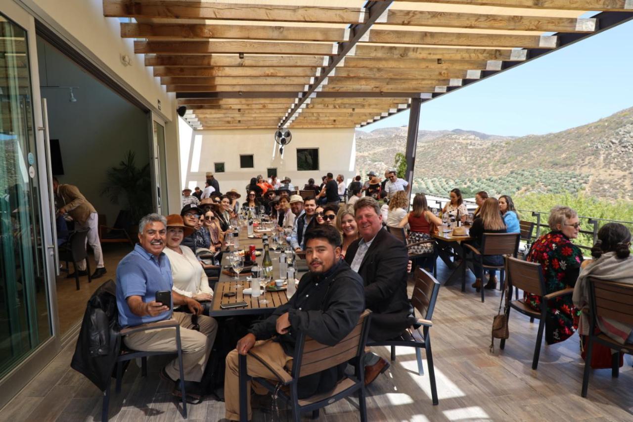 Ecovino Valle De Guadalupe Exteriör bild